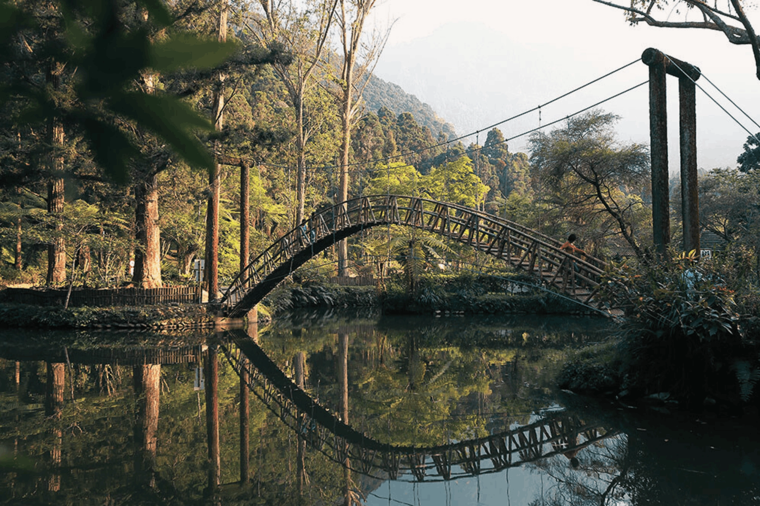 Xitou Nature Education Area