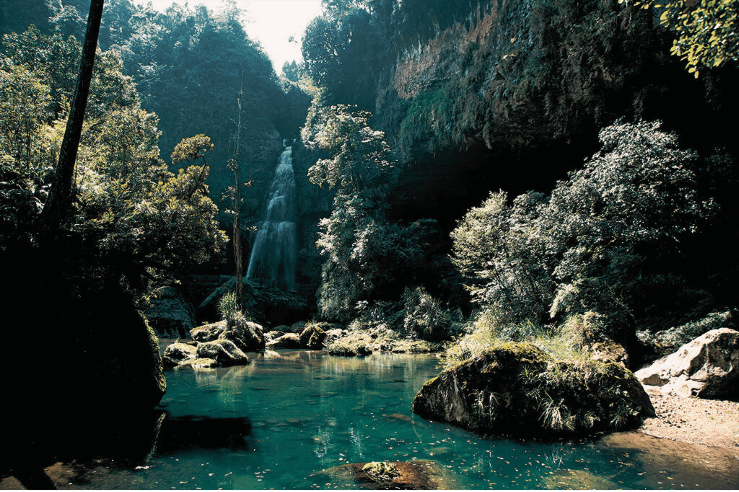 Sun Link Sea Forest and Nature Resort