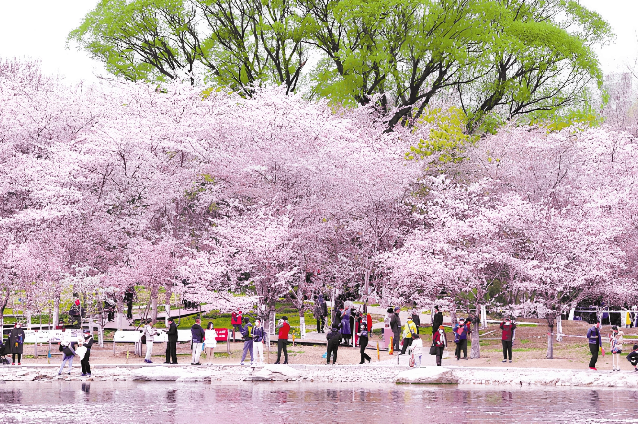 Yuyuantan Park