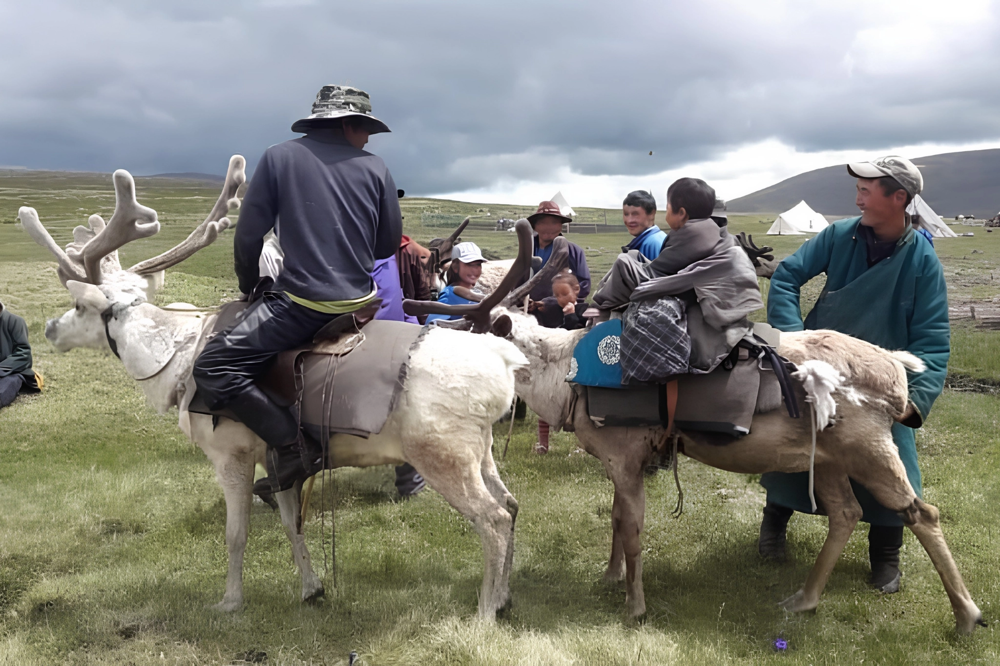 The open grassland with grazing herds