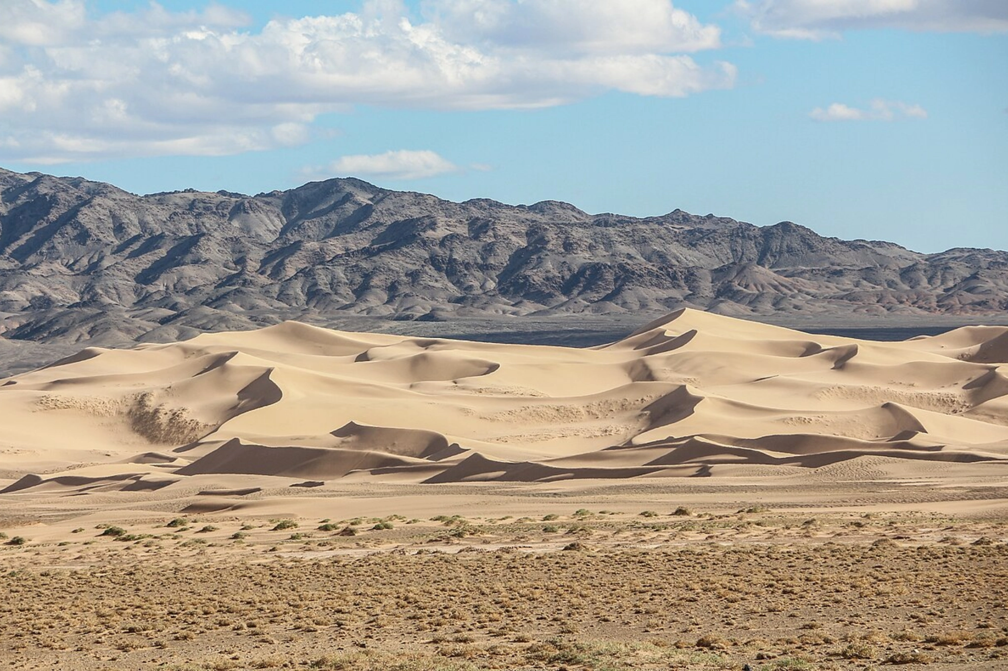 gobi desert, mongolia, cretaceous mongolia, khongoryn els