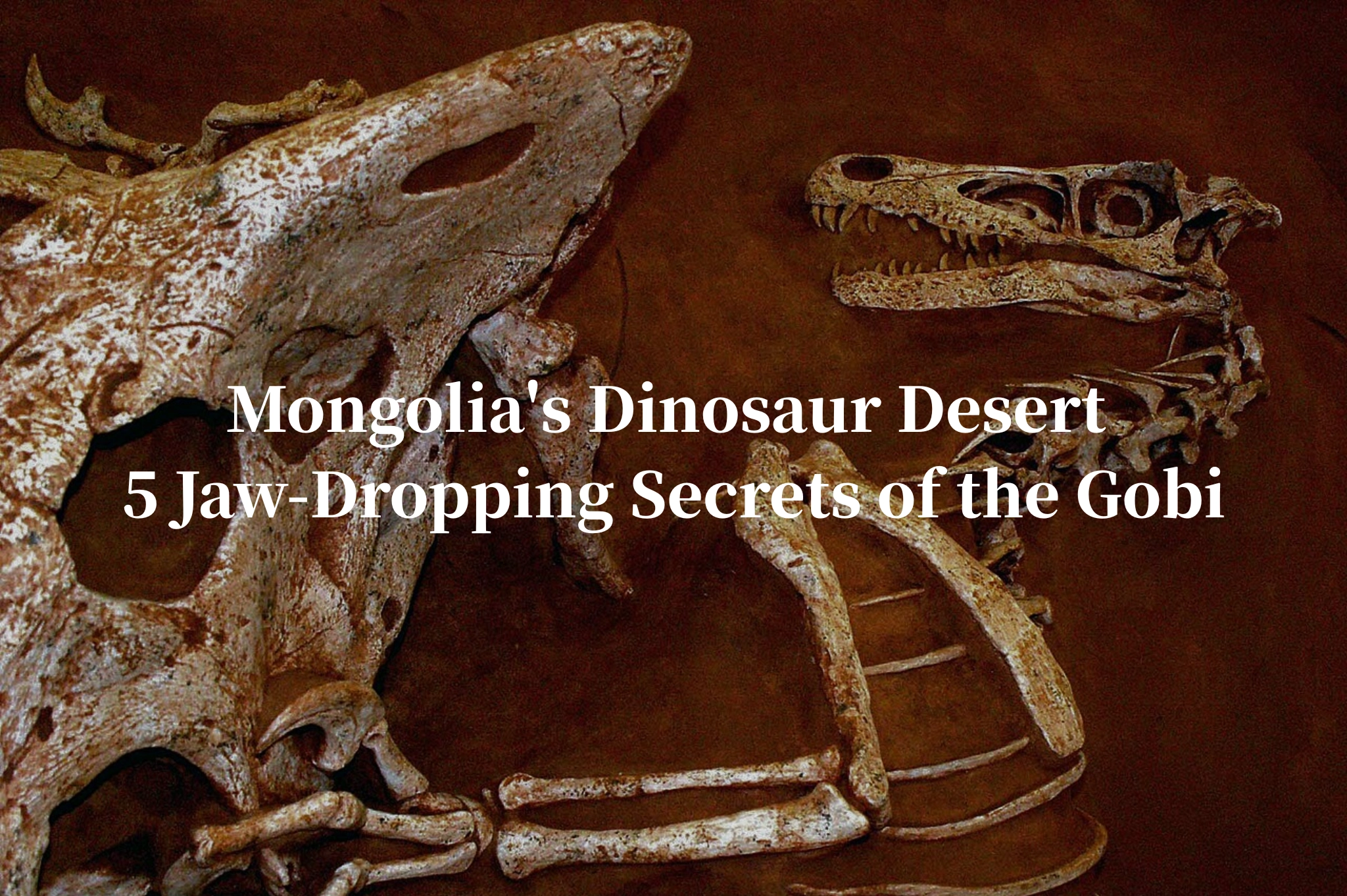 gobi desert, mongolia, dinosaur egg, cretaceous mongolia, milky way
