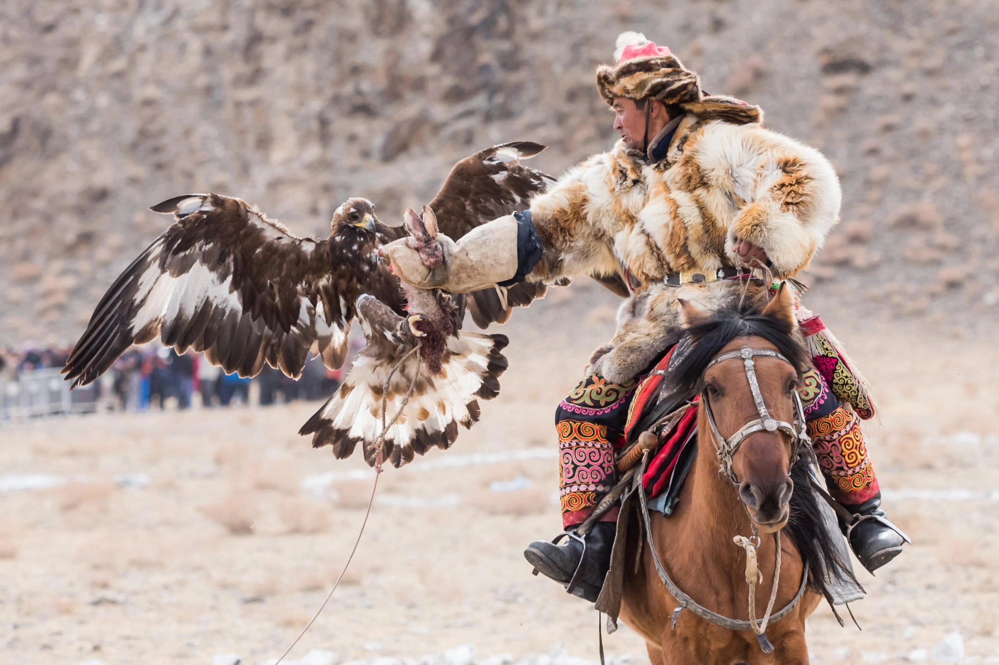 mongolia, golden eagle festival, eagle festival