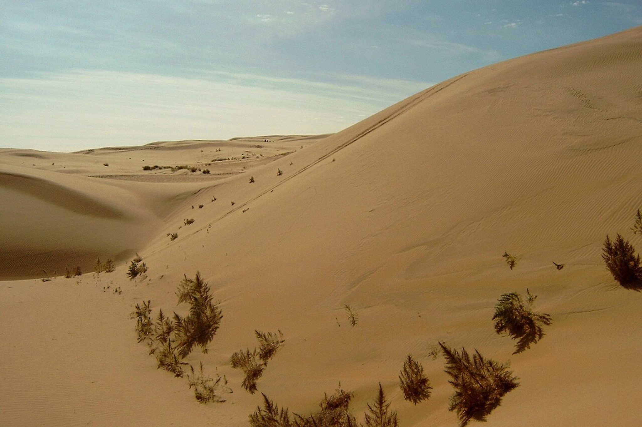 gobi desert, mongolia, cretaceous mongolia