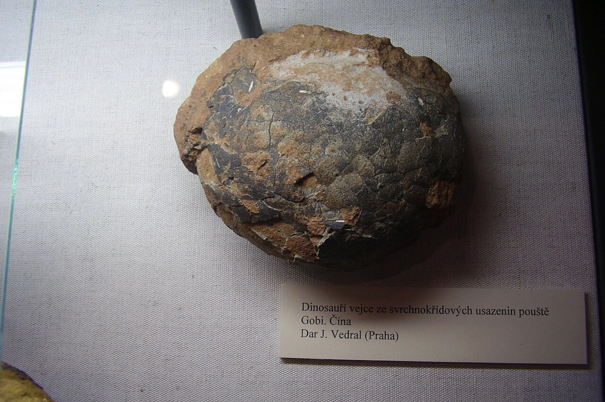 gobi desert, mongolia, dinosaur egg, cretaceous mongolia