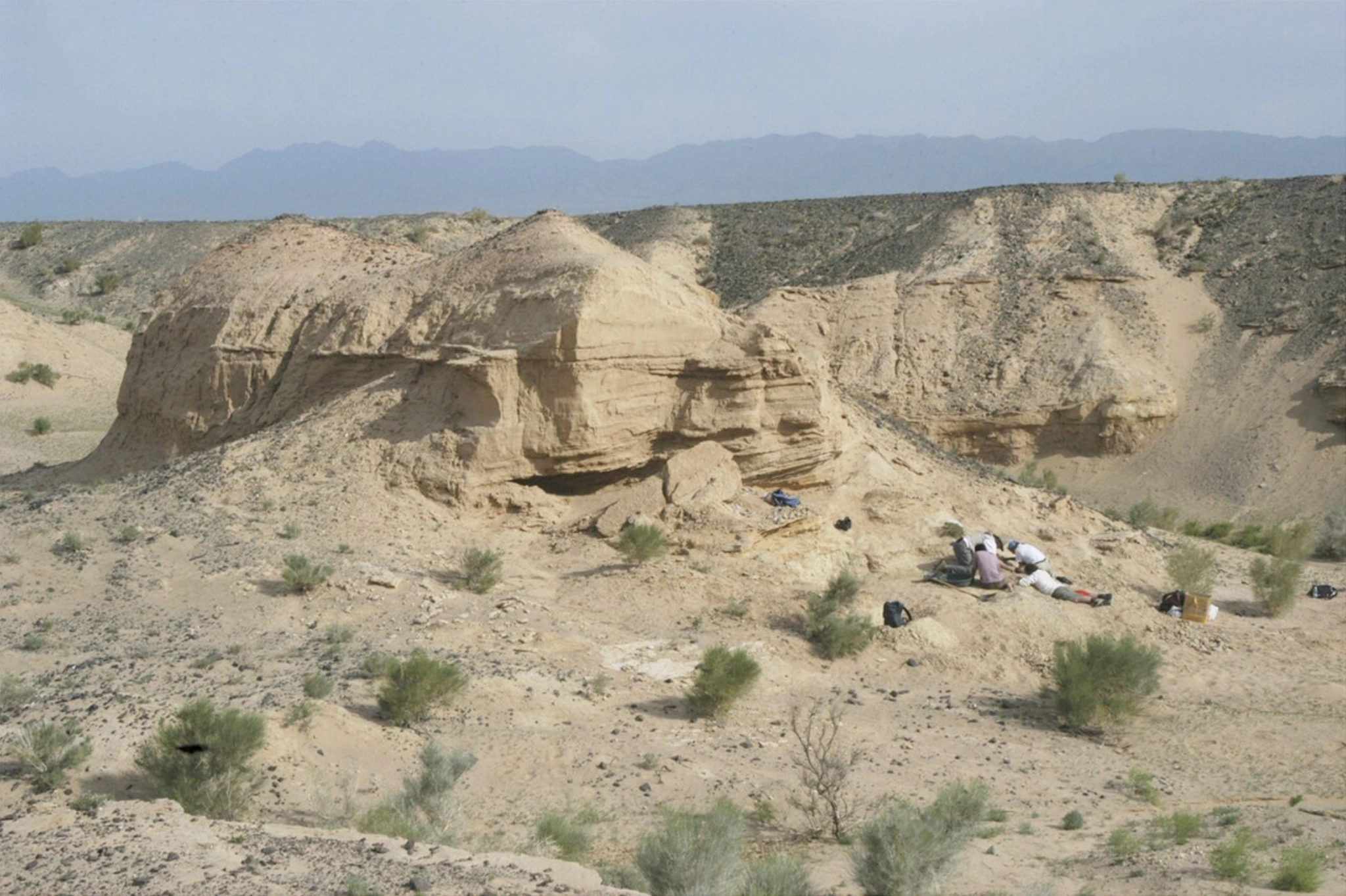 gobi desert, mongolia, cretaceous mongolia, Nemegt Basin
