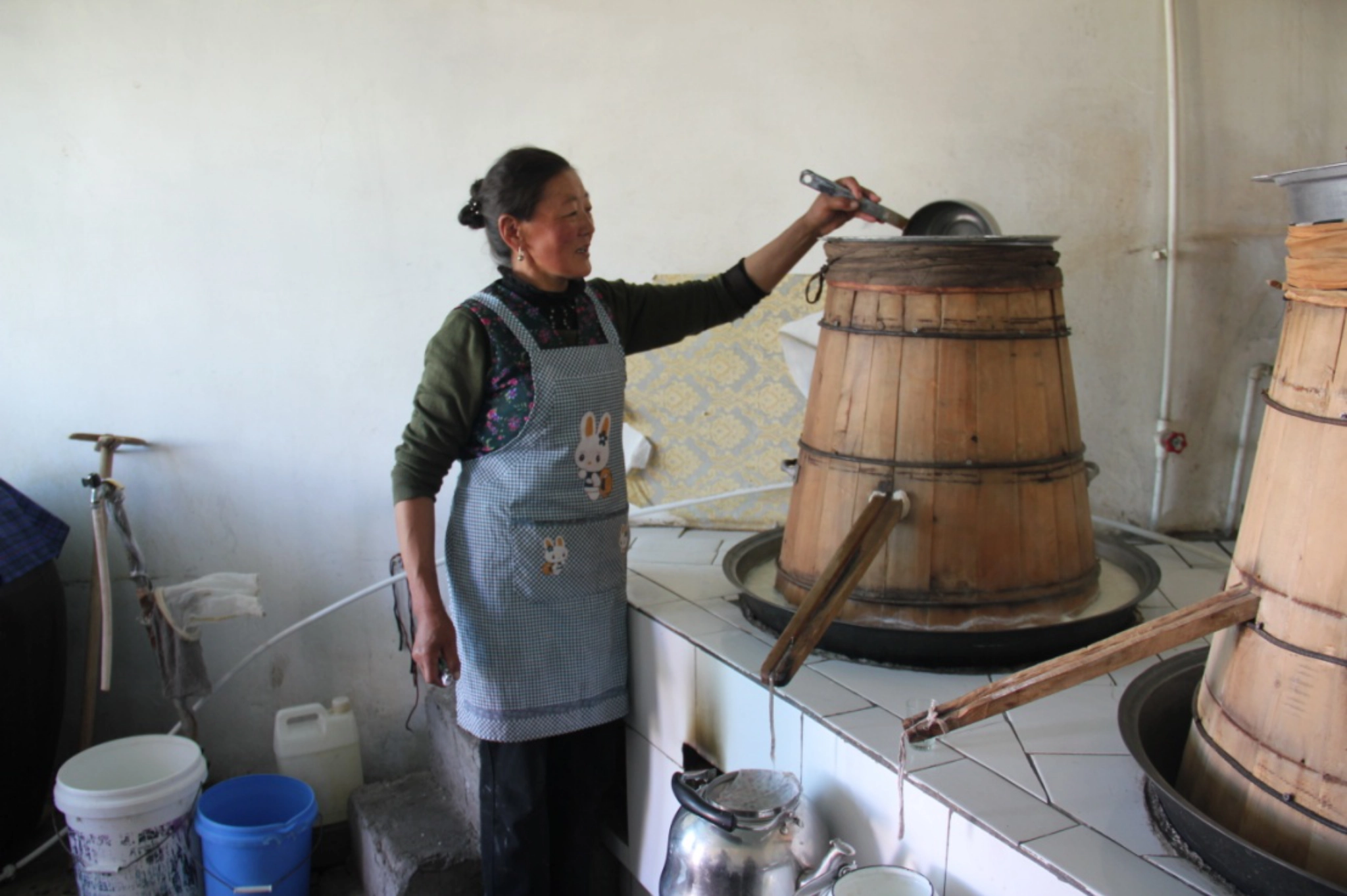 mongolia, arkhi, airag, tarag, shimiin arkhi