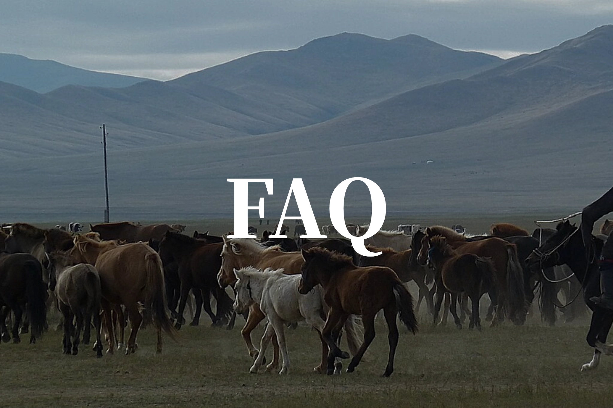 mongolia, faq